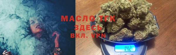 индика Арсеньев
