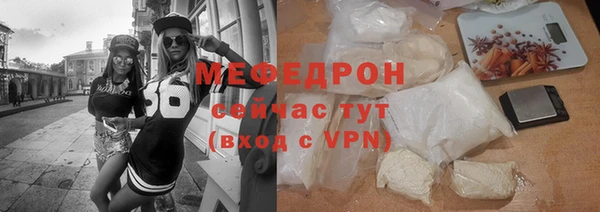 индика Арсеньев