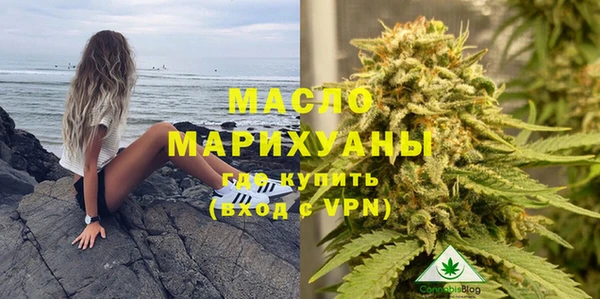 индика Арсеньев