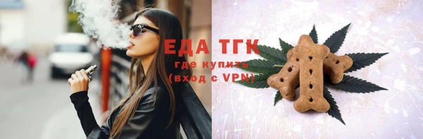 индика Арсеньев