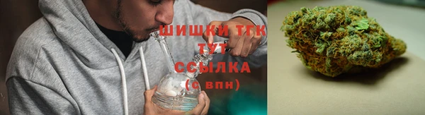 тгк Аркадак