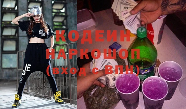 индика Арсеньев