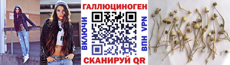 Галлюциногенные грибы мицелий  Чайковский 